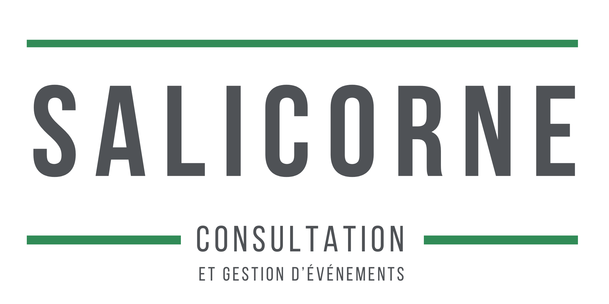 Salicorne Consultation inc.