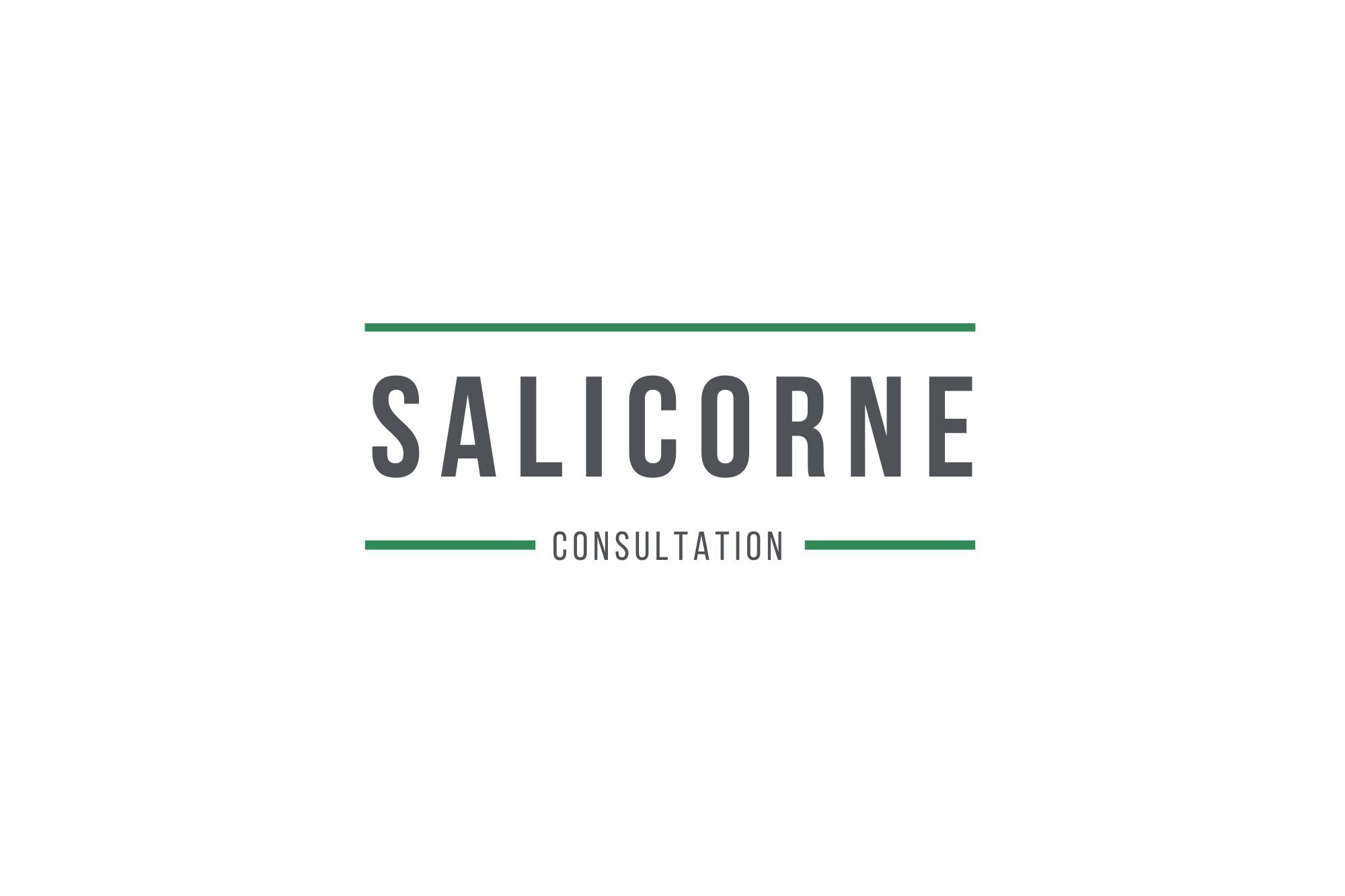 Salicorne Consultation inc.